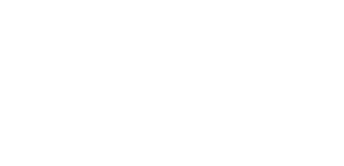 DE&S Logo